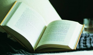 赠从弟的解释 赠从弟的意思