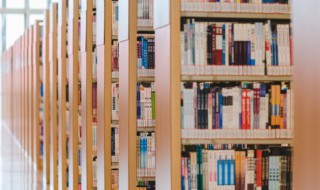 嫌的拼音和组词 嫌的拼音和组词分别是什么