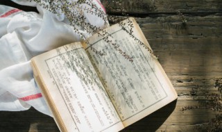 康德纯粹理性批判里的质料是什么意思 康德纯粹理性批判的书