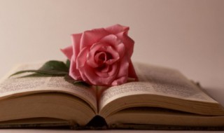 林的拼音 林的组词