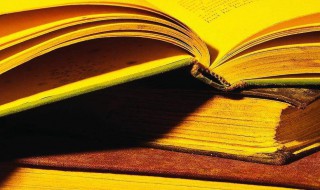 贾岛剑客的解释 贾岛剑客的意思