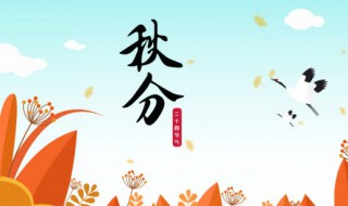 秋分下一个节气是什么 秋分的下一个节气