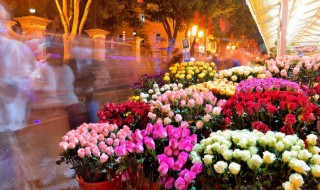 真玫瑰花储存方法 真玫瑰花怎么储存