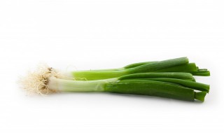 新鲜葱长久储存方法 葱的保存方法介绍