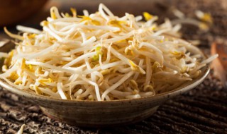 冬季家庭绿豆芽的储存方法 绿豆芽怎么保存