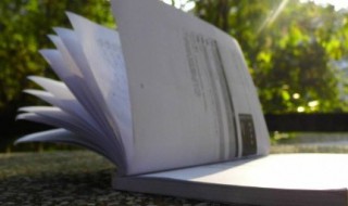 桃花源记的词语解释 桃花源记的原文加译文