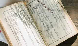 切忌先人为主是什么意思 切忌先人为主的意思