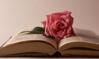 哉的拼音 哉的组词