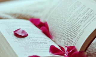 杞的拼音 杞的组词