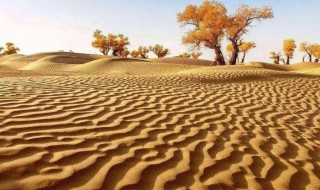 中国四大沙漠 中国四大沙漠是哪四个