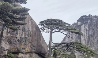 黄山归来不看岳是什么意思? 黄山归来不看岳的意思