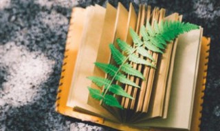 缓的拼音 缓的组词