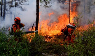 大兴安岭火灾是哪一年发生的 大兴安岭火灾介绍