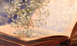 霓的拼音 霓的组词