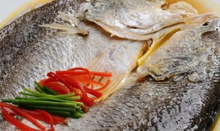 白花鱼怎么做好吃 白花鱼如何做好吃