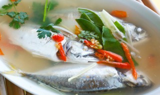 家常清炖鱼的做法 家常清炖鱼怎么做