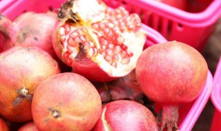 石榴拼音 石榴拼音是什么