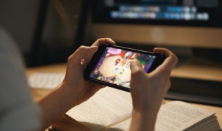 王者荣耀用棋子的英雄叫什么 王者荣耀用棋子的英雄介绍