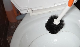 毛发堵住下水道妙招 毛发堵住下水道了怎么办