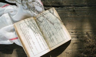 筹的拼音 筹的拼音是什么