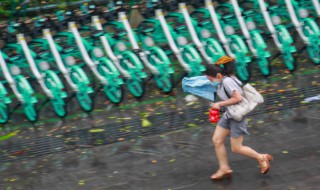 台风预警信号分为几个等级 盘点台风预警等级