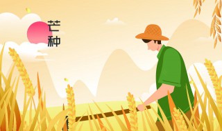 芒种的含义是什么意思 芒种的含义解释