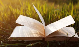 琳的拼音 琳的组词