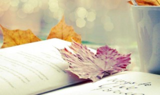 额的拼音 额怎么组词