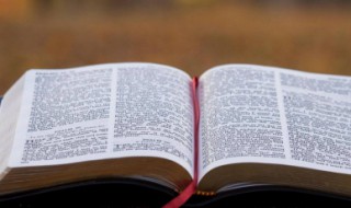 蚀的拼音 蚀的组词