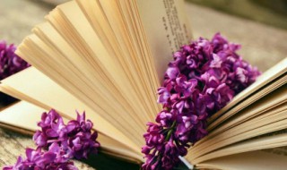 环的拼音 环的组词