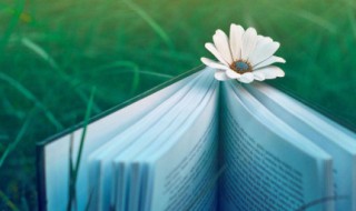 漏拼音 漏怎么组词