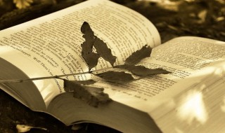 俯瞰的拼音 俯瞰的拼音及解释