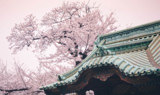 良辰美景奈何天是哪首诗词里的?啥意思 良辰美景奈何天原文介绍