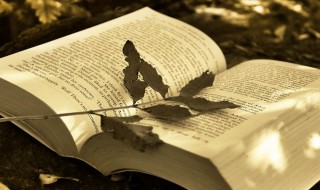 惊疑的意思 惊疑的解释