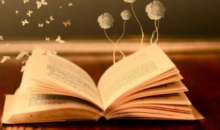 杰出的意思 杰出的解释