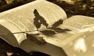 踉跄的拼音 踉跄的拼音及解释