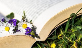 桅杆的拼音 桅杆的拼音及解释