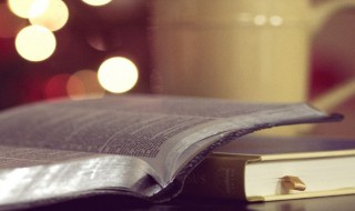 平淡的拼音 平淡的拼音及解释