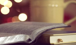 鸟鸣涧古诗意思 鸟鸣涧古诗解释