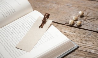 接天的意思 关于接天的意思