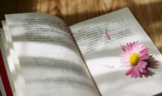 泣不成声是啥意思 泣不成声成语解释