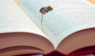 礼貌的拼音 礼貌的拼音及解释