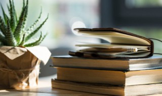 哪些成语是照顾意思 表示照顾的成语有哪些?