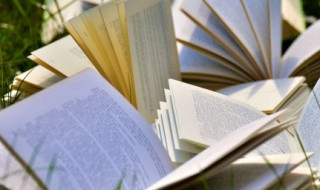 卓有成效中的卓准确意思 卓有成效的解释