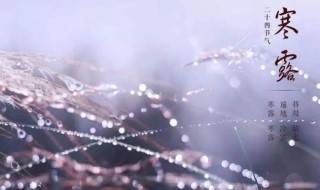 24节气寒露节气的含义 寒露是什么意思