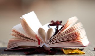 披的组词 披的组词及解释