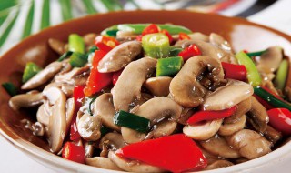 怎么炒磨菇 炒磨菇的做法