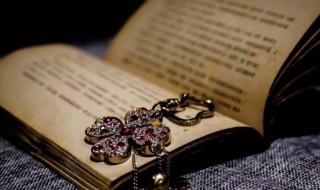 一鸟在手胜过双鸟在林是嘛意思 一鸟在手胜过双鸟在林的解释