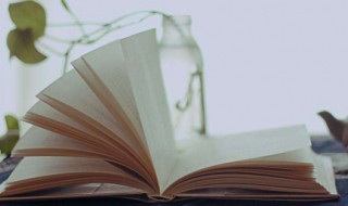 房兵曹胡马每句诗的意思 房兵曹胡马这首诗的原文