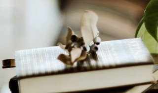 什么成语形容卑鄙小人 形容卑鄙小人的成语有哪些